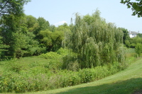Storm water management pond in Perry Hall